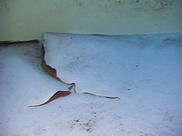 防水塗装はくり（側面）